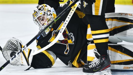 Rakell, DeSmith, Zucker all 'day-to-day,' D'Orio recalled taken in New York (Penguins)